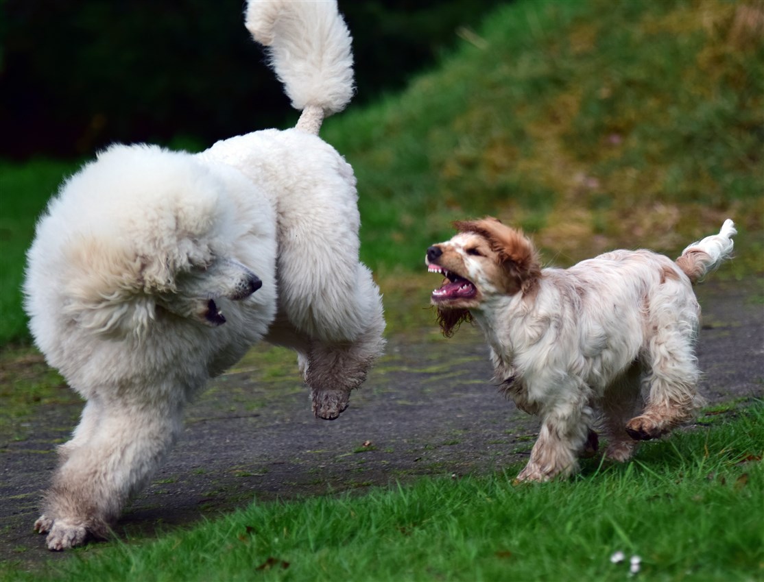 Foto: Catharina Cordes