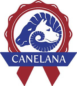 Canelana