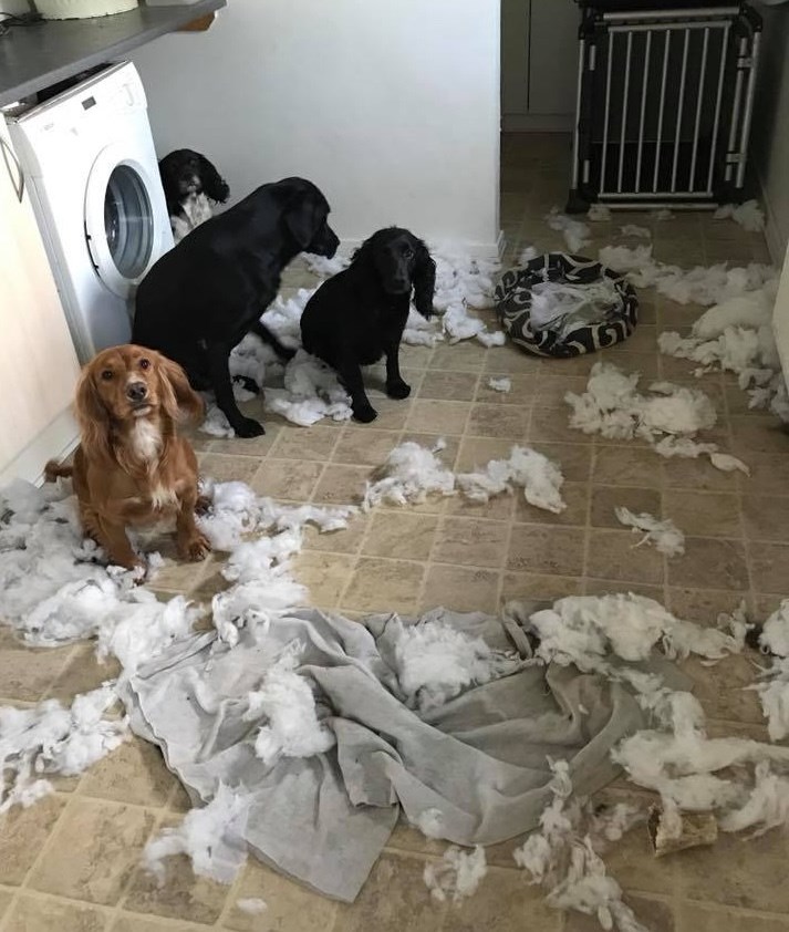 Fotograf: Charlotte Yoon